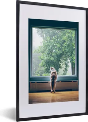 Produktbild von MuchoWow® MuchoWow® Gerahmtes Poster Katze am Fenster 40x60 cm - Poster mit zchwarzem Bilderrahmen - Poster in Rahmen