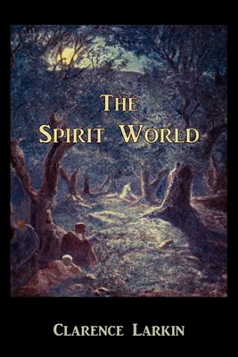 Produktbild von The Spirit World