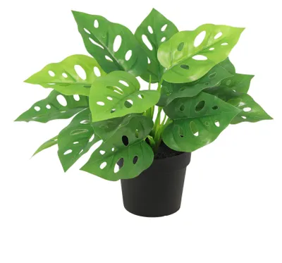 Produktbild von Künstliche Monstera Monkey Leaf 22cm im Topf realistische Mini Kunstpflanze