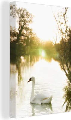 Zdjęcie produktu dla OneMillionCanvasses® - Obraz na płótnie - 90x140 cm, Łabędź - Słońce - Natura, Dekoracja ścienna - Zdjęcie na płótnie - Obraz na drewnianej ramie - Dekoracja ścienna - Sypialnia