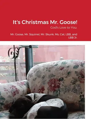 Produktbild von It's Christmas Mr. Goose!