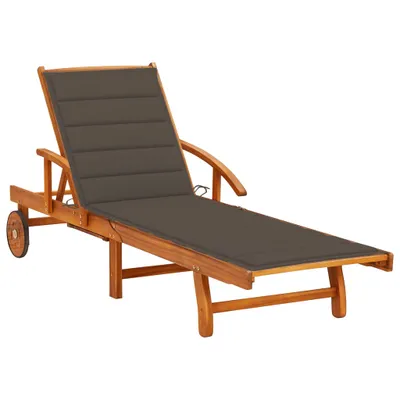 Image de vidaXL Bain de soleil avec support acacia massif