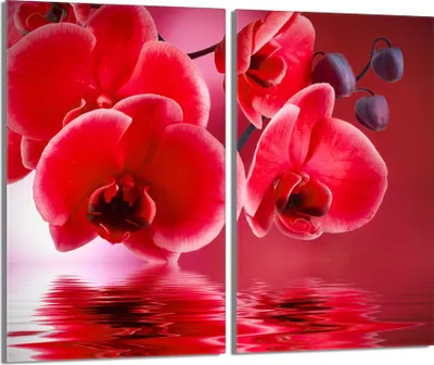 Obrázok produktu pre Sklenený keramický kryt varnej dosky 2 kusy 30x52, orchideovo červená