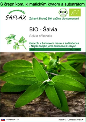 Obrázok produktu pre SAFLAX Garden to go - BIO - Šalvia - Salvia officinalis - 60 Semená - S črepníkom, klimatickým vekom a pestovateľským substrátom