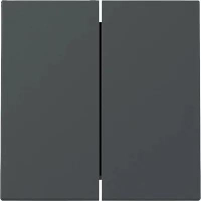 Immagine prodotto di Gira interruttore a bilanciere, 2f, sistema 55, antracite, 1 pz.