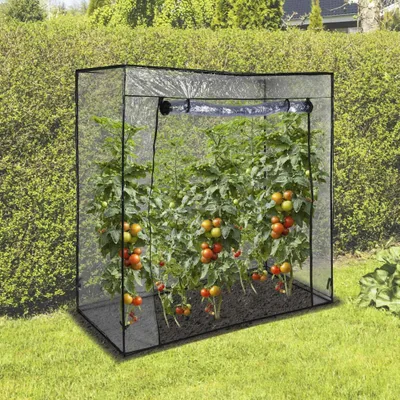 Produktbild von Gewächshaus Tomatenhaus 170x80x170cm 62677