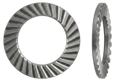 Image de Rondelles Schnorr acier à ressort VS 24 S 100 pcs