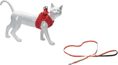 Immagine prodotto di Pettorina per gatti con guinzaglio in nylon rosso, taglia: S/M