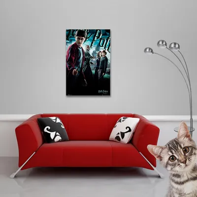 Obrázek produktu pro Harry Potter - Plakát - Hlavní + Ü-Plakát
