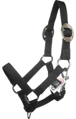 Produktbild von Halfter und Strick -Hobby Horsing Basic-9100 schwa
