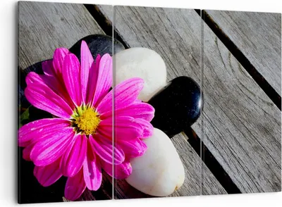 Produktbild von Bild auf Leinwand - Leinwandbild - Stein Blume Blütenblätter Chrysantheme - 105x70cm - Wand Bild - Wanddeko - Leinwanddruck - Bilder - Kunstdruck - Leinwand bilder - Wandkunst - CE105x70-2302