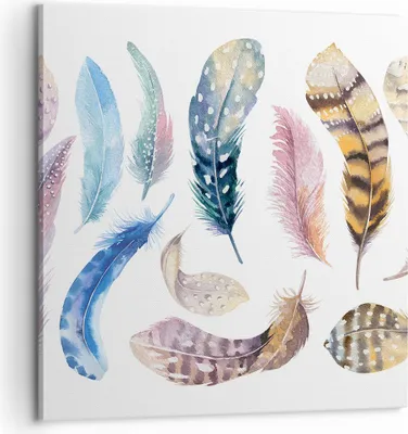 Produktbild von Bild auf Leinwand - Leinwandbild - Federn Vögel Tiere Komposition - 60x60cm - Wand Bild - Wanddeko - Leinwanddruck - Bilder - Kunstdruck - Wanddekoration - Leinwand bilder - Wandkunst - AC60x60-2894