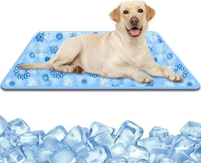 Produktbild von Wasserdichte Hundekühlmatte 90 x 60 cm - Sommerkissen für Haustiere - Kühlgelmatte für Hunde - Wasserdichte Kühlgelmatte für Katzen