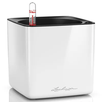 Obrázek produktu pro LECHUZA CUBE, Květináč, Volně stojící, Polypropylen (PP), Bílá, Čtverec, Vnitřní