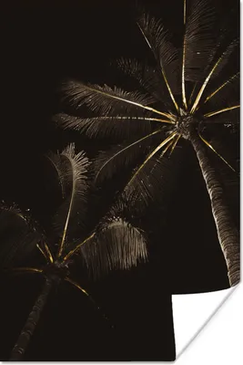 Produktbild von MuchoWow® Poster Palme - Gold - Schwarz 40x60 cm - Plakate für die Wand - Poster Babyzimmer