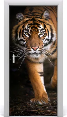 Produktbild von Tulup Türaufkleber 95x205 cm Dekorative Aufkleber Selbstklebend Wasserdichte Tapete Abnehmbar Schlafzimmer Wohnzimmer Wohnkultur - Tiger