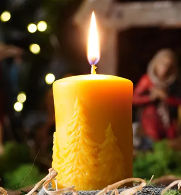 Produktbild von tea4chill Bienenwachskerze aus 100% Bienenwachs, Kerze 6 x 9cm Stumpen, Tannenbaum, Geschenk für Weihnachten, lange Brenndauer, Adventkranz Kerze, handgefertigt