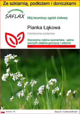 Zdjęcie produktu dla SAFLAX - Zestaw do uprawy - Pianka Łąkowa - 100 Nasiona - Z mini szklarnią, podłożem uprawowym i 2 doniczkami - Cardamine pratensis