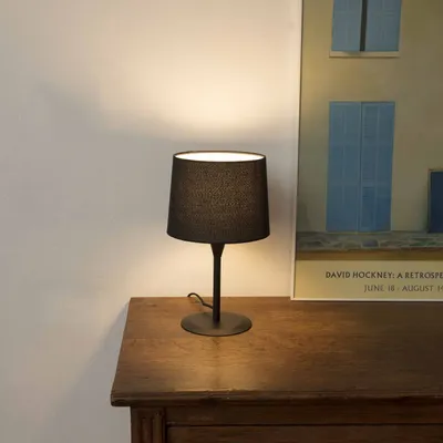 Produktbild von Faro 64317-03, Schwarz, Stahl, Schlafzimmer, IP20, II, E27