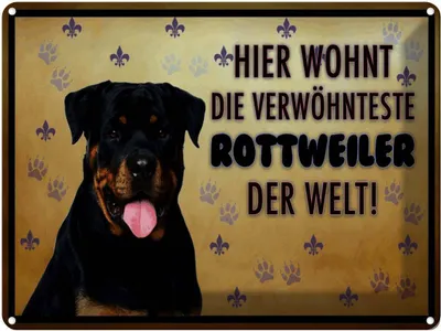 Produktbild von vianmo Blechschild 30x40 cm Hund hier wohnt die Rottweiler