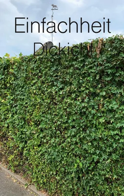 Produktbild von Einfachheit