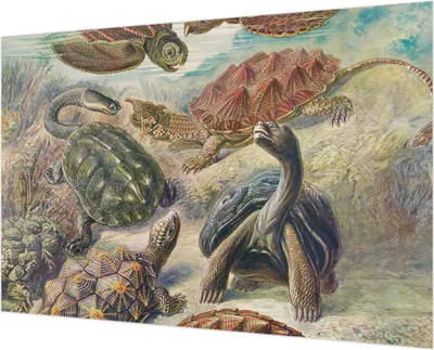 Produktbild von Wandtapete - Dekorative Tapete für Wohnzimmer - Tapetenfolie für Wanddekoration - 152x104 cm - Schildkrötenfauna