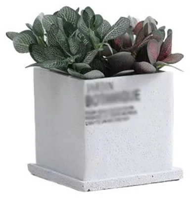 Image de Pots en béton décoratifs pour plantes d'intérieur