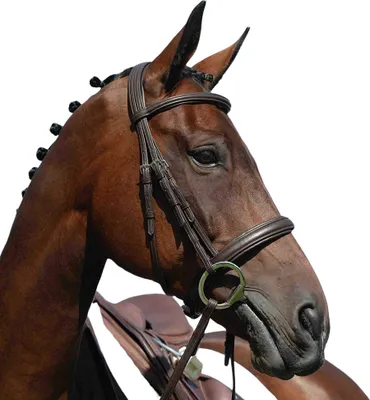 Obrázek produktu pro Collegiate - Uzdečka Cavesson "Syntovia+ Raised" WB1423 (Cob) (Brown)