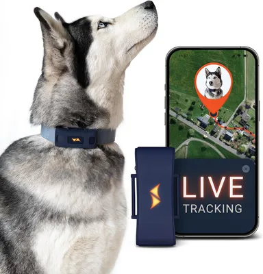 Zdjęcie produktu dla Lokalizator Gps Dla Psów 4G Alarmy Przywoływanie Psa Wodoodporny Dioda Led