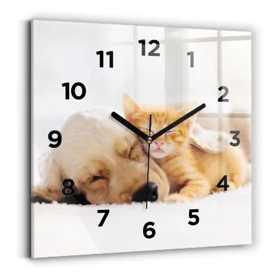 Produktbild von Wallfluent Wanduhr – Stilles Quarzuhrwerk - Uhr Dekoration Wohnzimmer Schlafzimmer Küche - Zifferblatt - schwarze Zeiger - 30x30 cm - Schlafende Katze und Hund