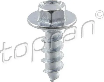 Immagine prodotto di Vite TOPRAN 109 315 20 mm