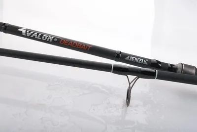 Produktbild von Jenzi Steckrute Avalon Deadbait 301