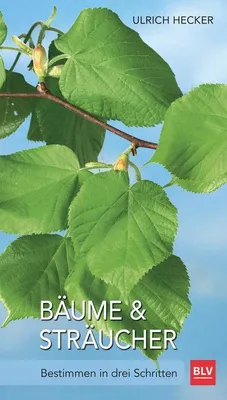 Image de Bäume und Sträucher