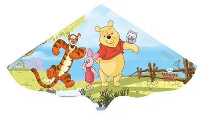 Zdjęcie produktu dla Paul Günther Winnie the Pooh, Latawiec z jedną linką, 4 lat(a)