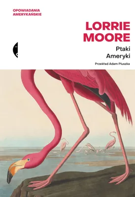 Image de Ptaki Ameryki