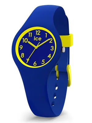 Image de Ice-Watch montres analogiques pour adultes