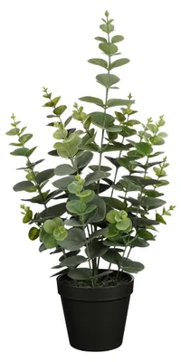 Produktbild von Kunstpflanze Mica Eucalyptus in Topf Kunststoff Ø 23 cm H 53 cm grün
