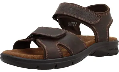 Produktbild von Sanders Basics C1