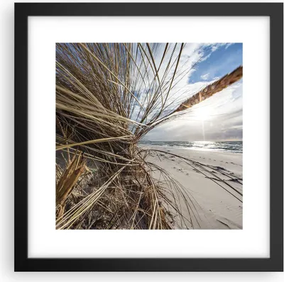Produktbild von Gerahmtes Poster - Schwarzer Rahmen - Küste Perspektive Gras - 30x30 cm - Wand Bild - Wanddeko - Wandbilder - Kunstposter - Wandposter - Bilderrahmen - Bilder - Kunstdruck - P2BAC30x30-4526