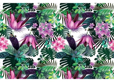 Immagine prodotto di Adesivo per mobili «Tropical Kouki», 60 x 90 cm