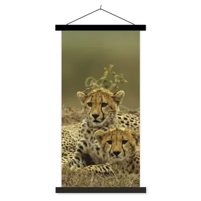 Produktbild von MuchoWow® Textilposter Junge Gepardenjunge 60x120 cm mit schwarzem Rahmen - Magnete