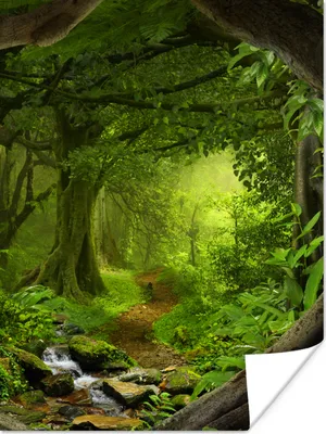 Produktbild von MuchoWow® Poster Dschungel - Grün - Natur - Tropisch - Pflanzen 90x120 cm - Wohnzimmer