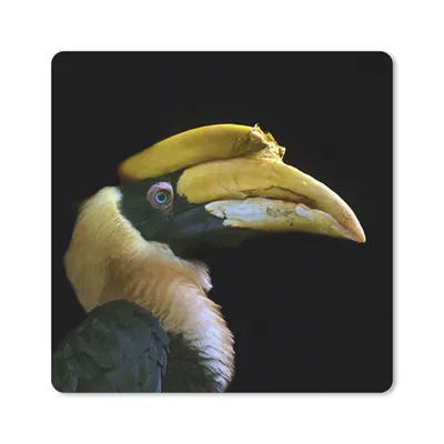 Produktbild von MuchoWow® Mauspad Mousepad Vogel - Schnabel - Schwarz 30x30 cm - Mousepads - Maus Mat - Pad - Mausunterlage