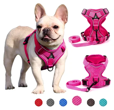 Produktbild von Hundegeschirr für kleine und mittelgroße Hunde, Welpen und Katzen, verstellbar, reflektierend, atmungsaktiv, leicht und ausbruchsicher, Brustgeschirr ohne Ziehen für Spaziergänge, rosa, Größe S