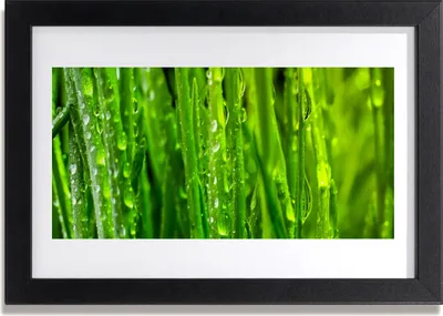Produktbild von Bild 30x20 MDF-Rahmen Wandkunst Gras Natur Pflanze