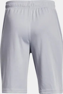 Obrázek produktu pro Kraťasy Prototype 2.0 Logo Shorts-GRY