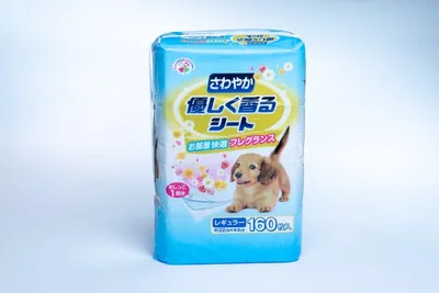 Produktbild von Japanische saugfähige Trainingsunterlagen für Hunde und Katzen mit erfrischendem Duft, 32 × 44 cm, 160 Stück