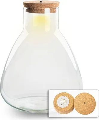 Obrázek produktu pro Skleněná zahrada ↕30 cm – nenáročná skleněná zahrada, rostlinné terárium do obývacího pokoje a kanceláře