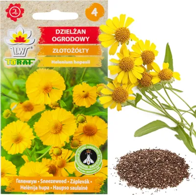 Immagine prodotto di Daphnes giallo oro da giardino 0,5G Semi di campanula