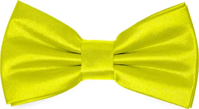 Produktbild von Ladeheid Kinder Jungen Fliege - Vorgebunden Glänzende BKS (10cm x 5cm)